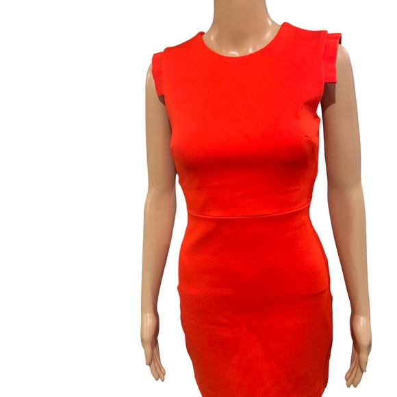 Stunning Babaton dress - Picture 7 of 9